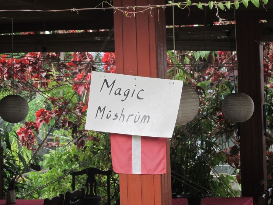 magic mashrun