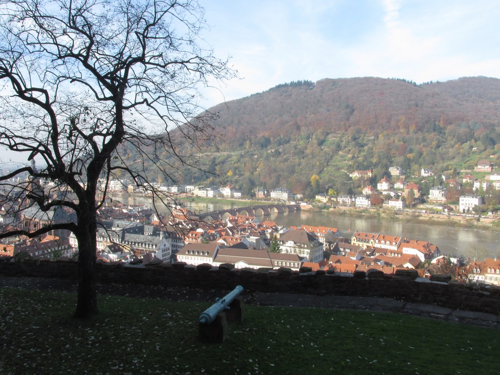 Heidelberg vista