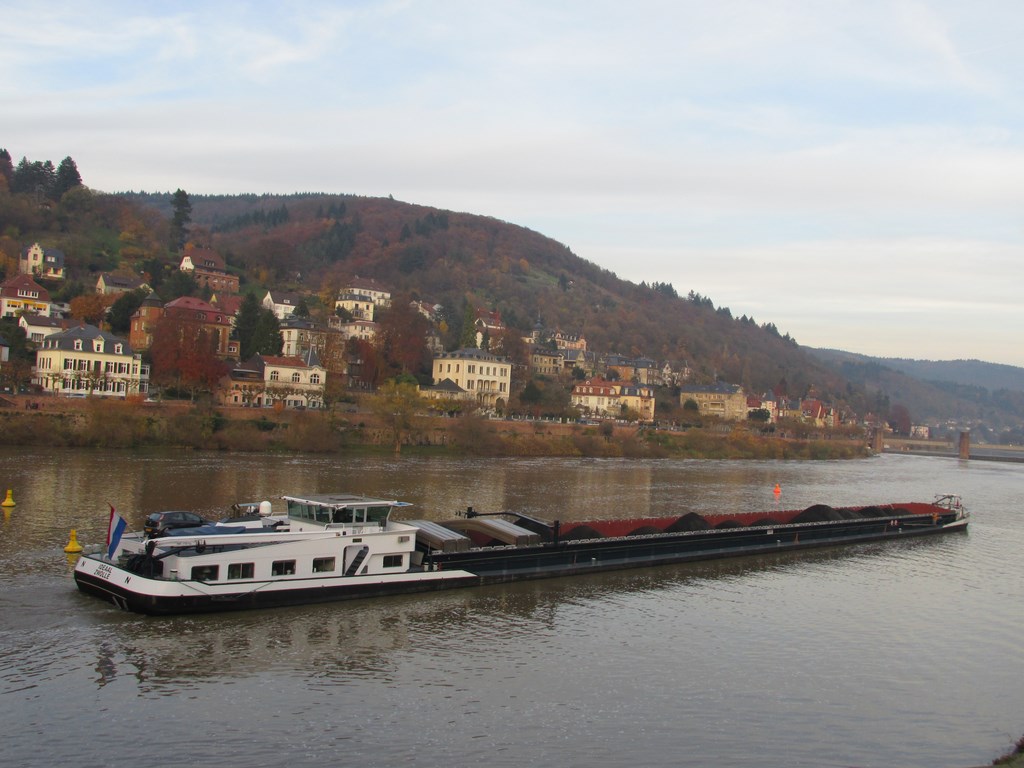 Heidelberg fiume Neckar